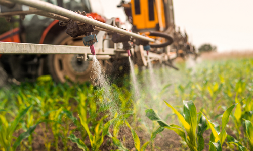 Chemical spraying crops