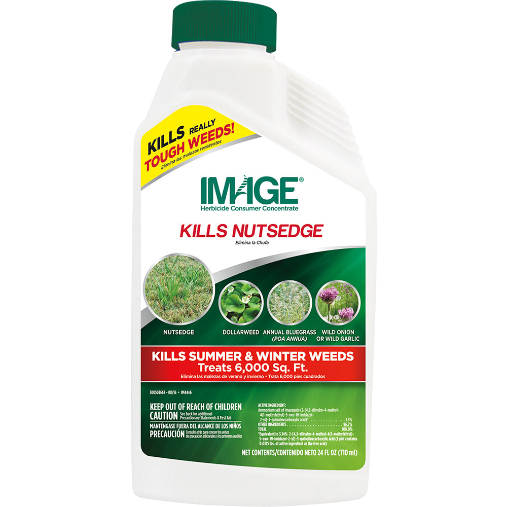 les herbicides IMAGE® KILLS NUTSEDGE CONCENTRATE - Live Oak, FL - Madison, FL
