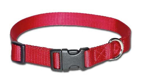 Leather sales brothers collars