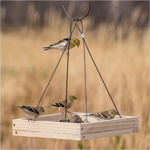 Perky-Pet® Hanging Tray Bird Feeder (1.6 lb)