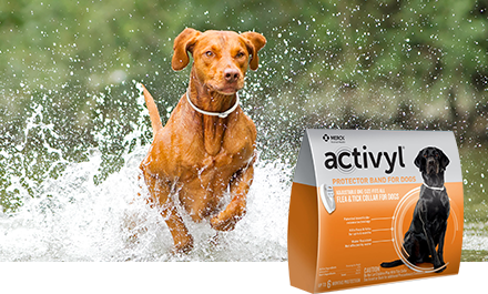 Merck Activyl Spot-on For Dogs (14 To 22 Lbs. 3 Months) - Live Oak, FL ...