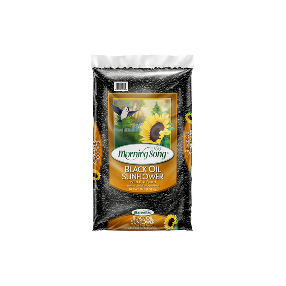 Morning Song Black Oil Sunflower Bird Food (10 LB)