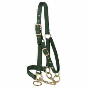 Valhoma Control Halter w/ Chain