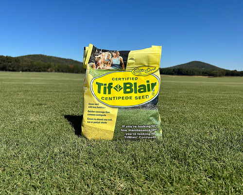 Tifblair Centipede Grass Seed