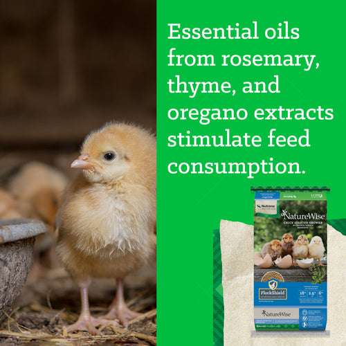 NatureWise® Chick Starter Grower 18% Protein Crumble Medicated