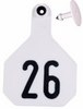 Y-Tex Large 4 Star Cattle Ear Tags White Numbered 26-50