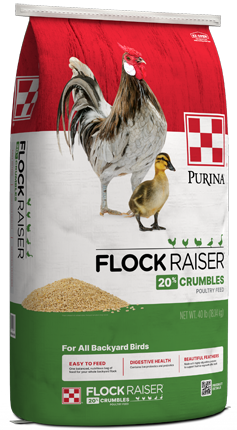 Purina® Flock Raiser® Crumbles