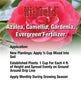 Hi-Yield Azalea, Camellia, Gardenia, Evergreen Fertilizer 4-8-8 (3.25 lbs)