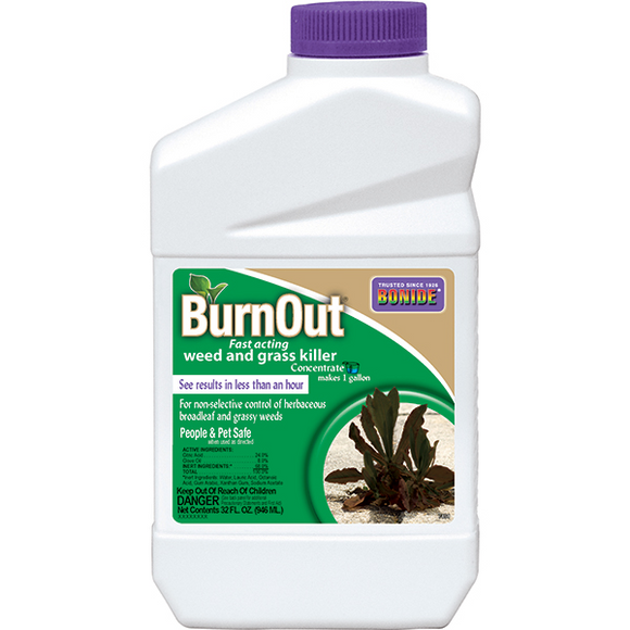 BONIDE BURNOUT WEED & GRASS KILLER CONCENTRATE 1 QT