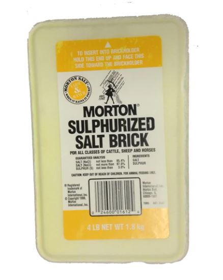 Sulfur Salt Brick
