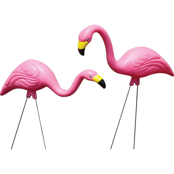 PINK FLAMINGO