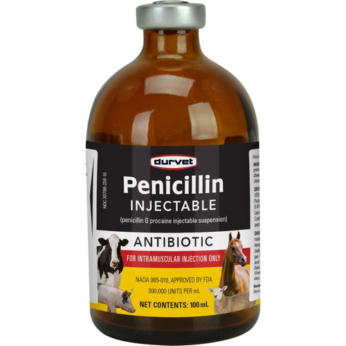 DURVET PENICILLIN G PROCAINE INJECTABLE